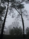 mistwandeling_023