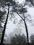 mistwandeling_024