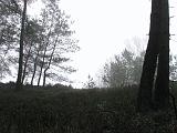 mistwandeling_025