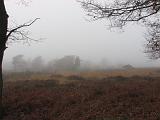 mistwandeling_031