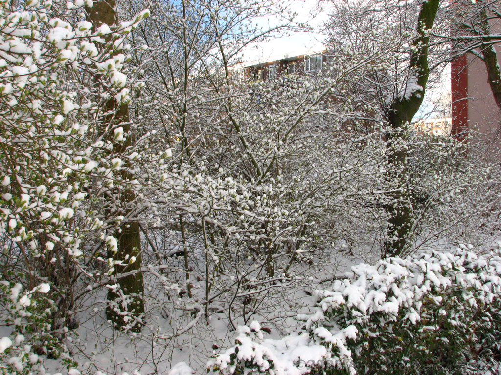 witpasen_004.jpg