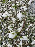 witpasen_003