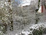 witpasen_004