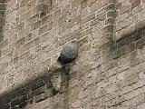 stadswandeling_046