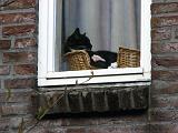 stadswandeling_067