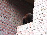stadswandeling_068