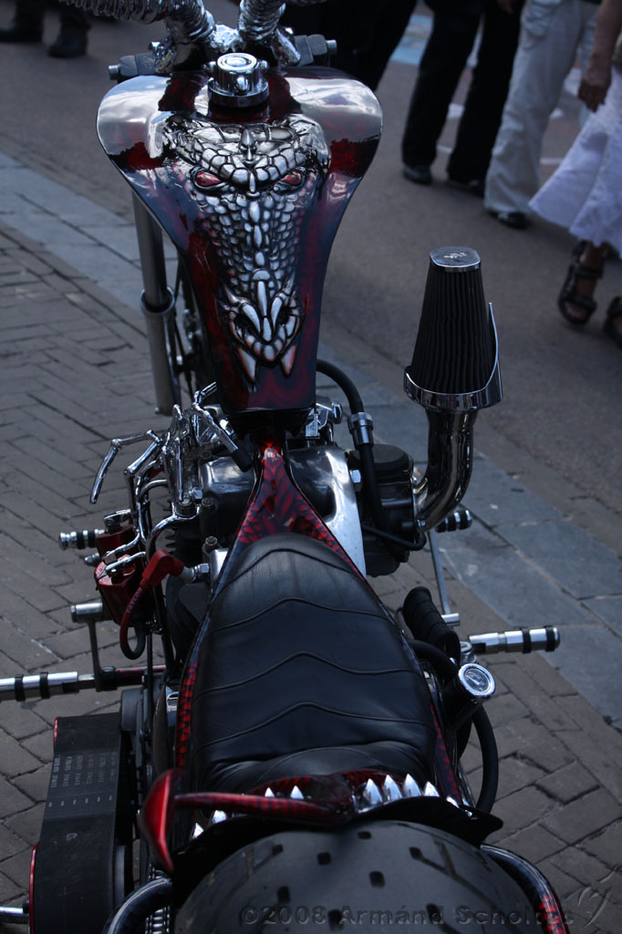 harleydag_036.jpg
