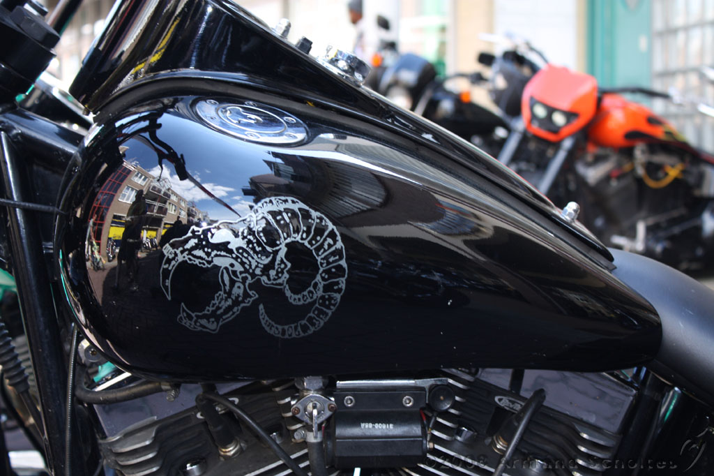 harleydag_074.jpg