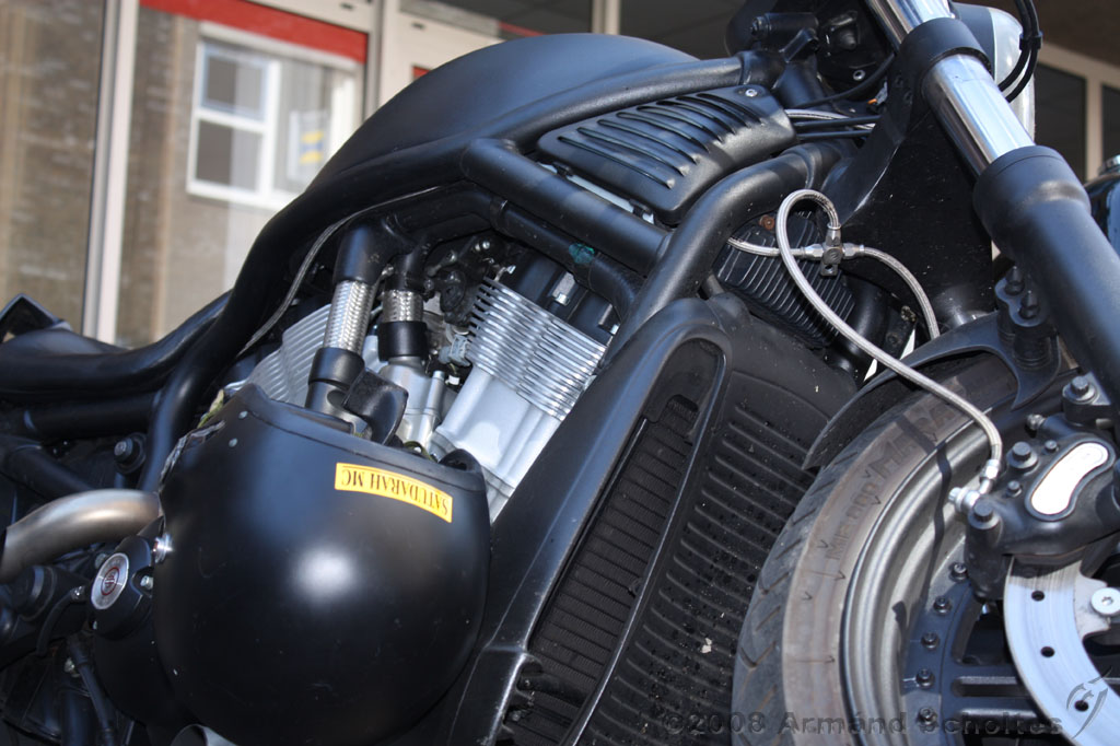 harleydag_075.jpg
