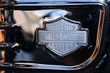 harleydag_089