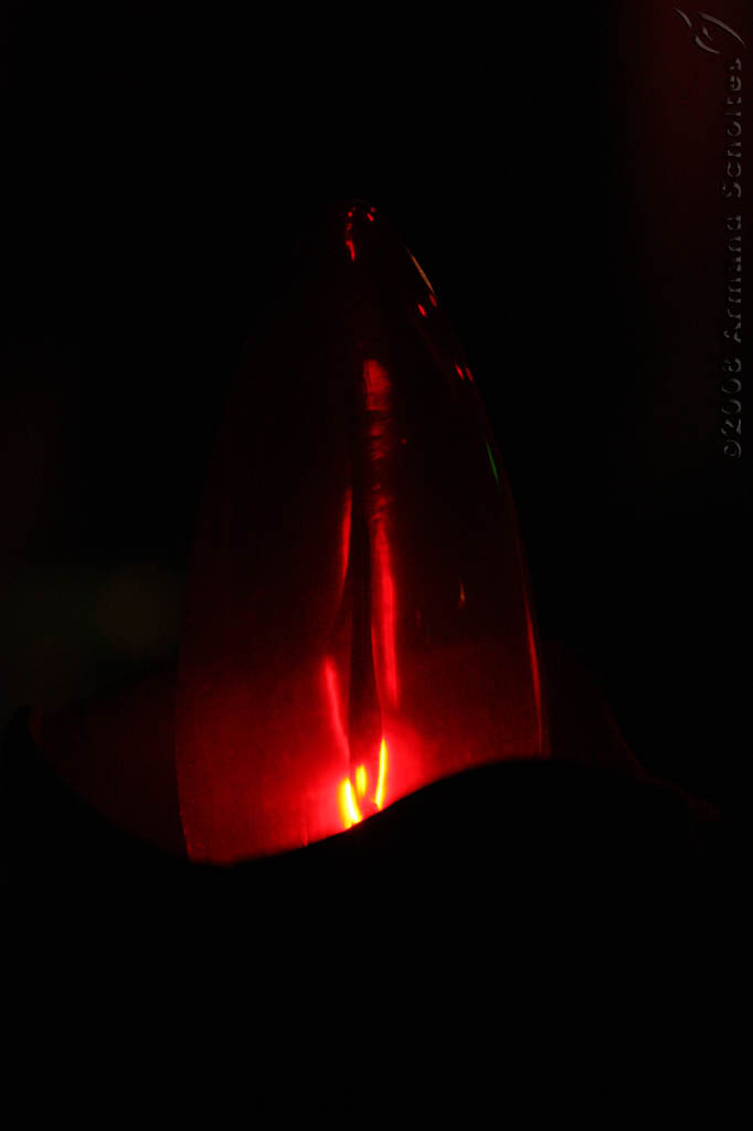 2008-05-17_metalnight_146.jpg