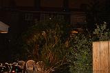 thomas_027