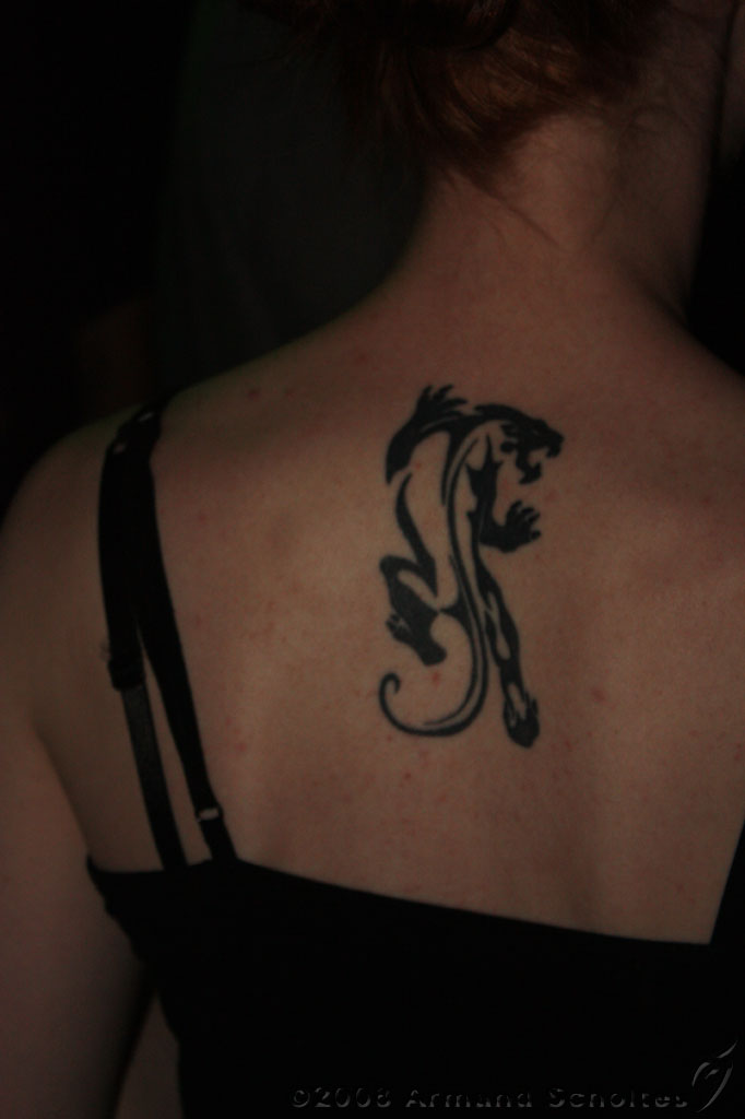 2008-06-07_metalnight_088.jpg
