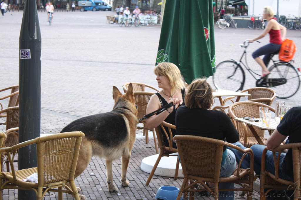 doorzakken_001.jpg