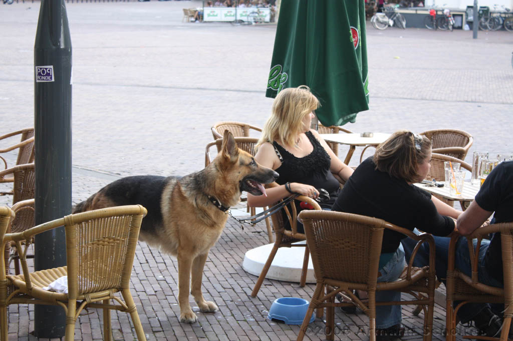 doorzakken_003.jpg