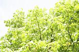 doorzakken_016