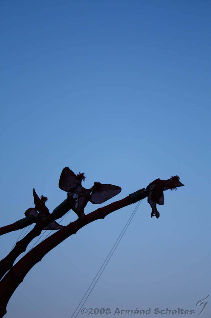 compagnie_off_013.jpg