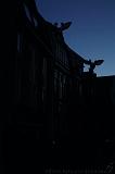 compagnie_off_022
