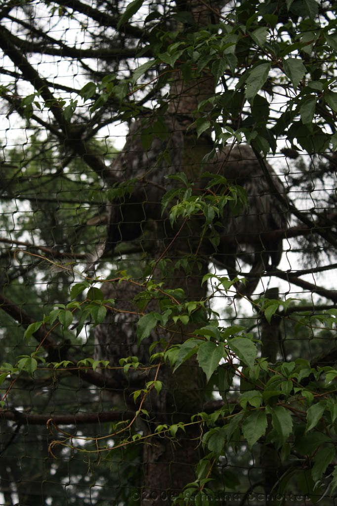 noorderdierenpark_009.jpg
