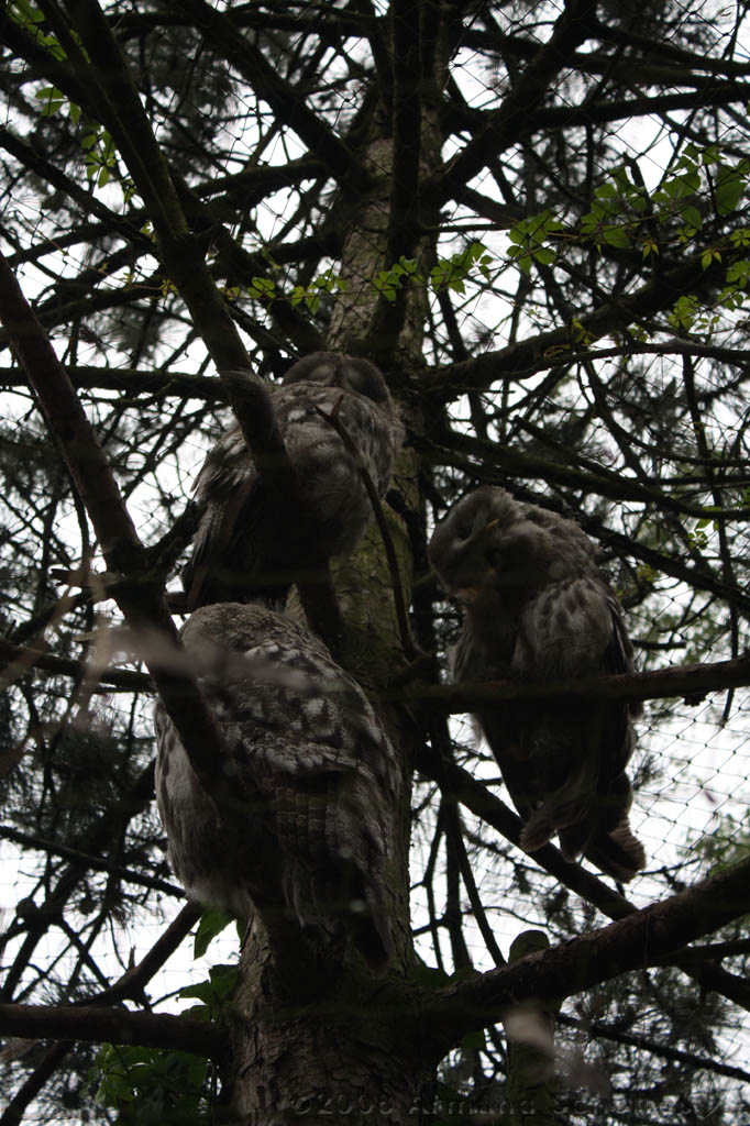 noorderdierenpark_011.jpg