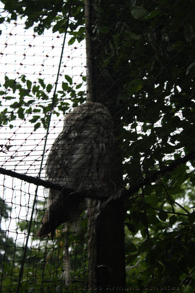 noorderdierenpark_013.jpg