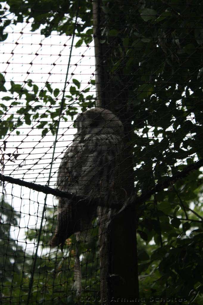 noorderdierenpark_014.jpg
