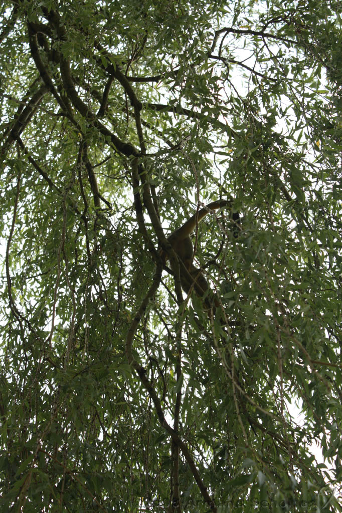 noorderdierenpark_021.jpg