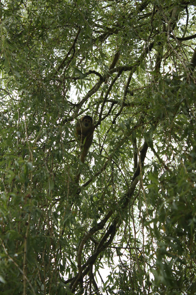 noorderdierenpark_022.jpg