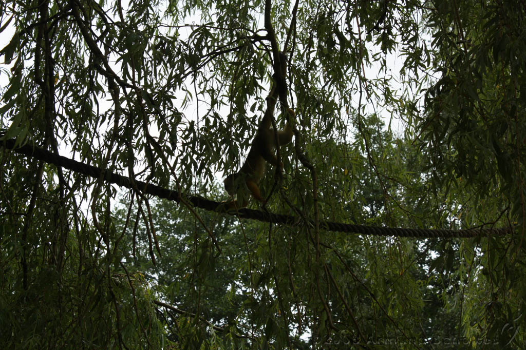 noorderdierenpark_023.jpg