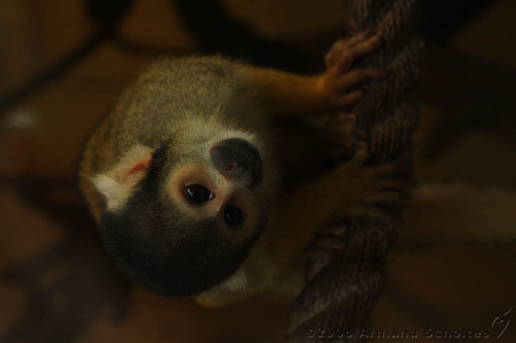 noorderdierenpark_024.jpg