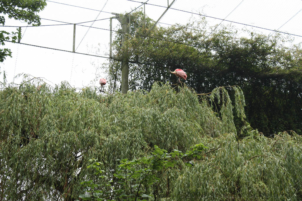 noorderdierenpark_027.jpg