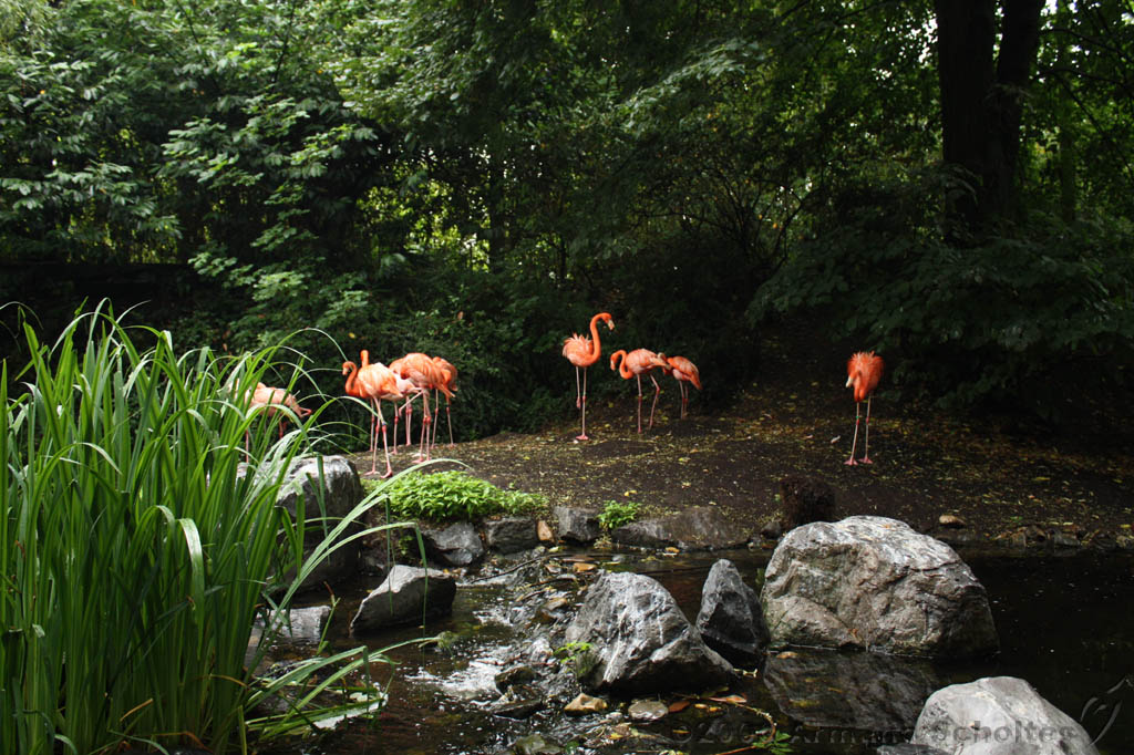 noorderdierenpark_028.jpg