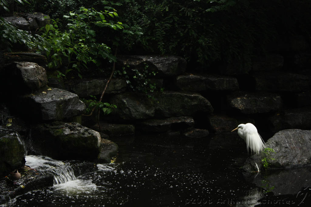 noorderdierenpark_029.jpg