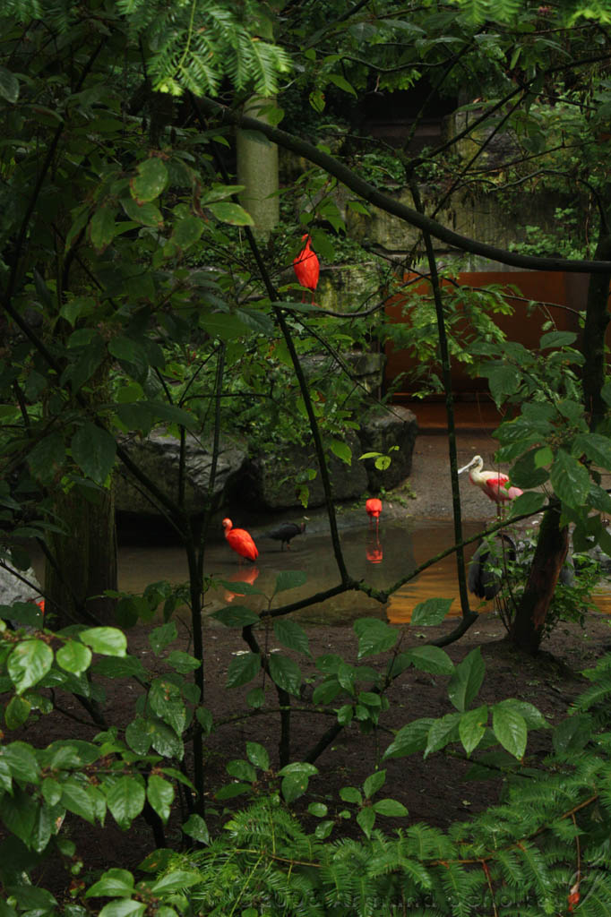 noorderdierenpark_031.jpg