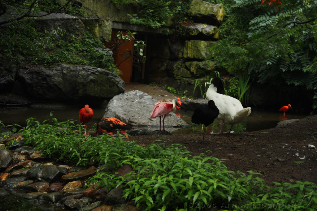 noorderdierenpark_032.jpg