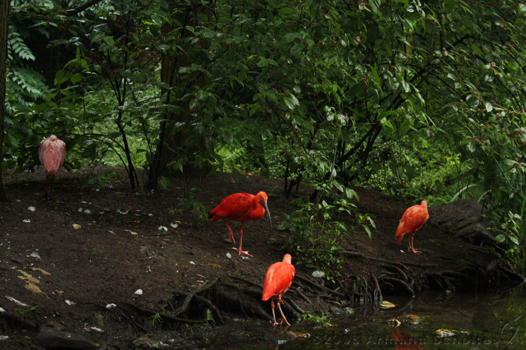 noorderdierenpark_033.jpg