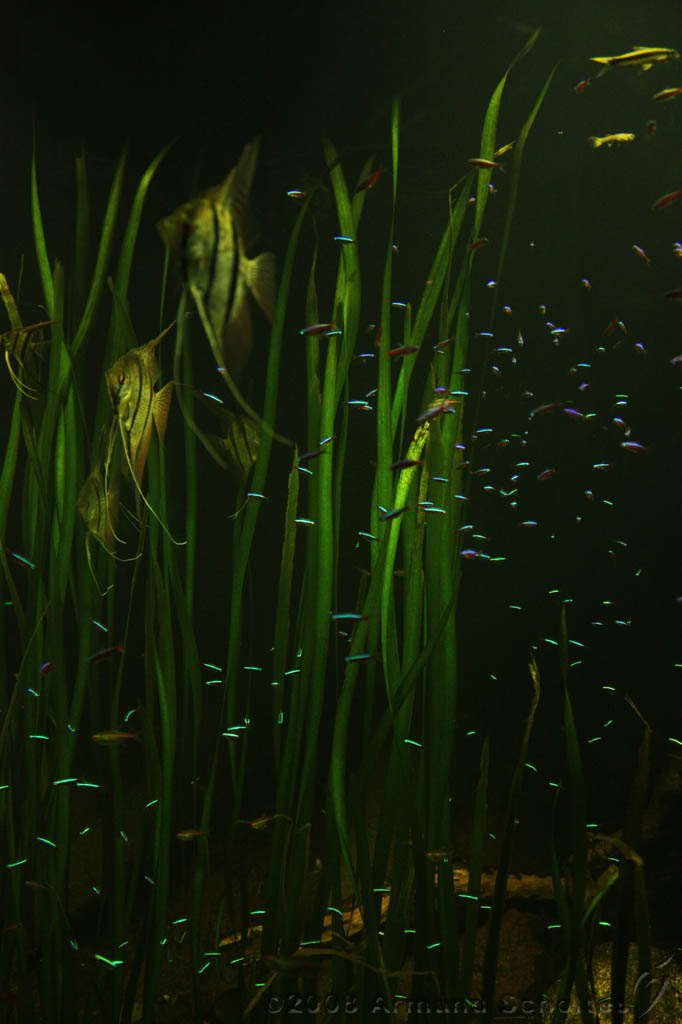 noorderdierenpark_036.jpg