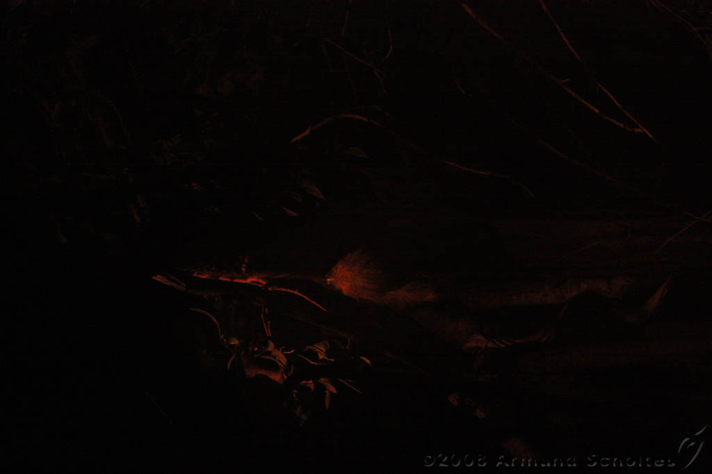 noorderdierenpark_038.jpg