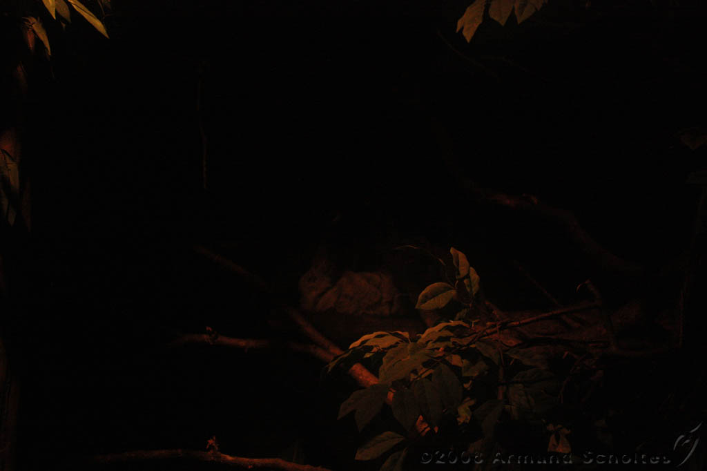 noorderdierenpark_039.jpg