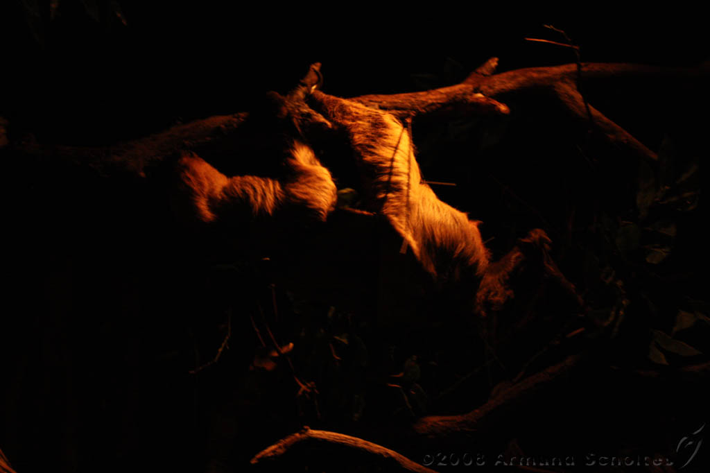 noorderdierenpark_041.jpg