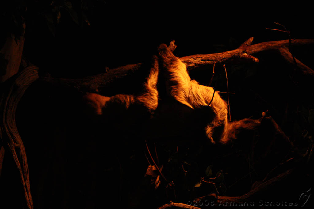 noorderdierenpark_042.jpg