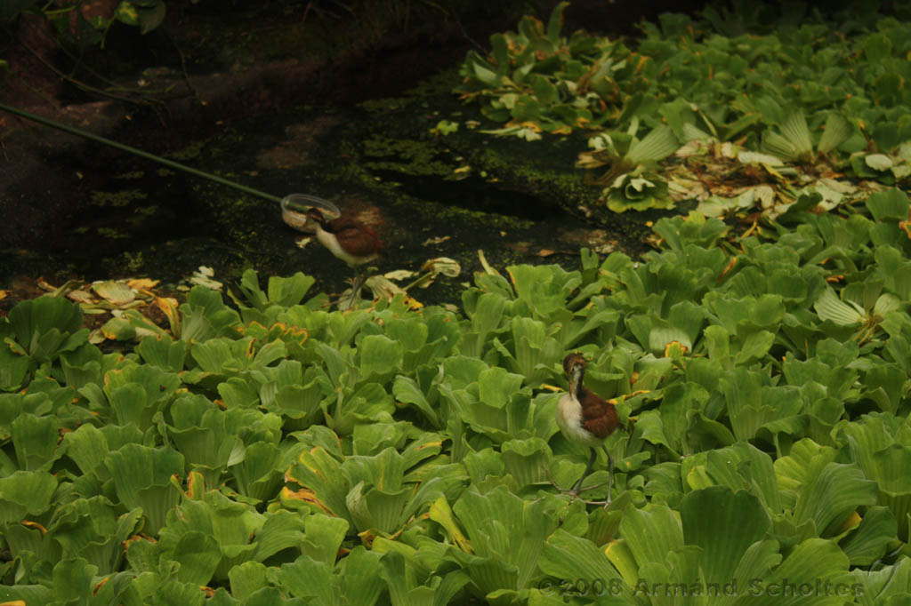 noorderdierenpark_044.jpg