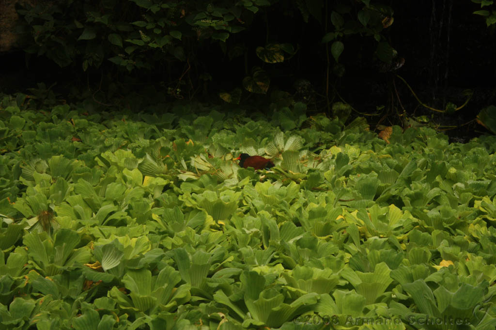 noorderdierenpark_045.jpg