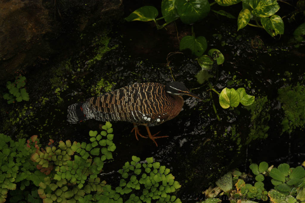 noorderdierenpark_046.jpg
