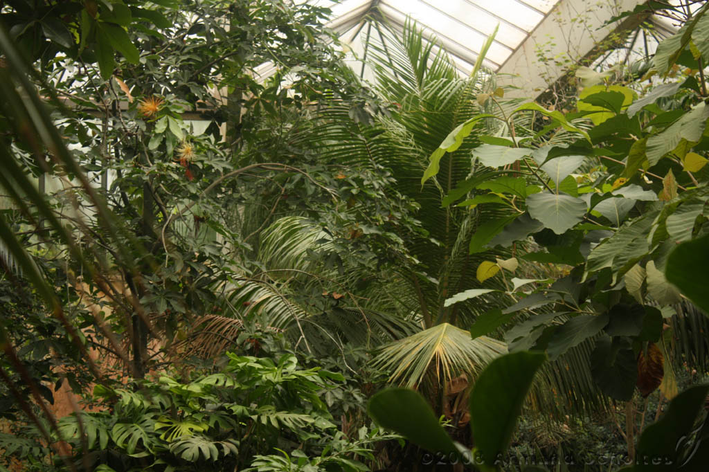 noorderdierenpark_048.jpg