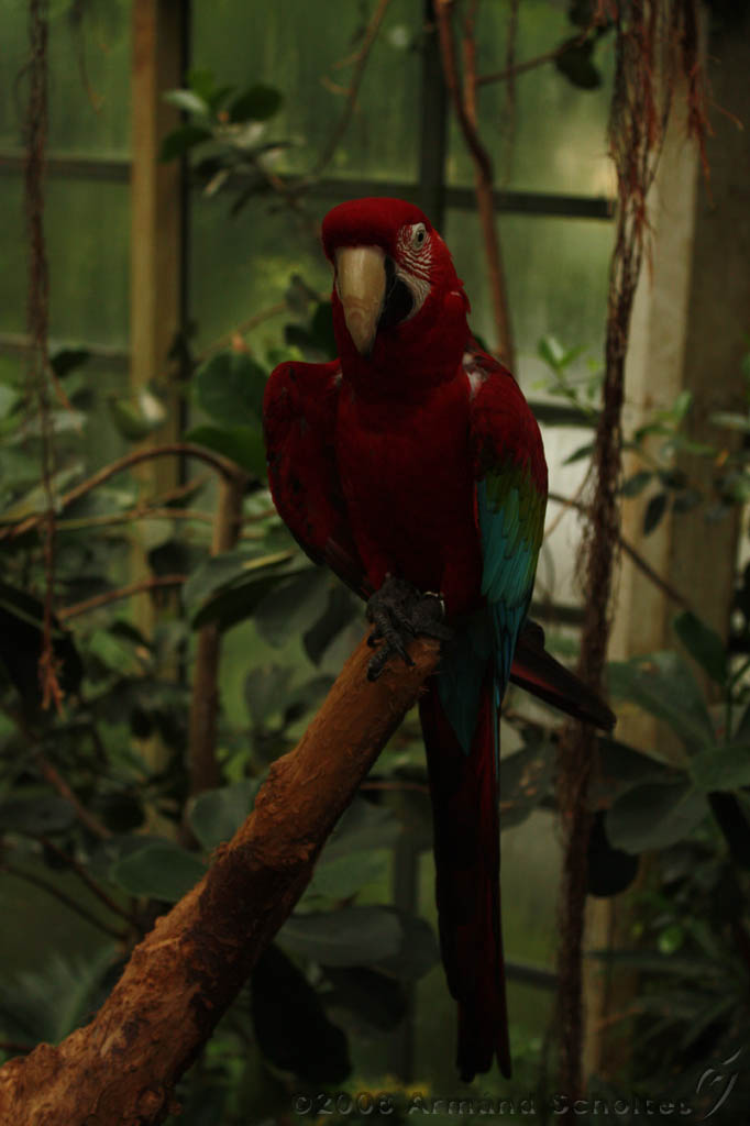 noorderdierenpark_052.jpg