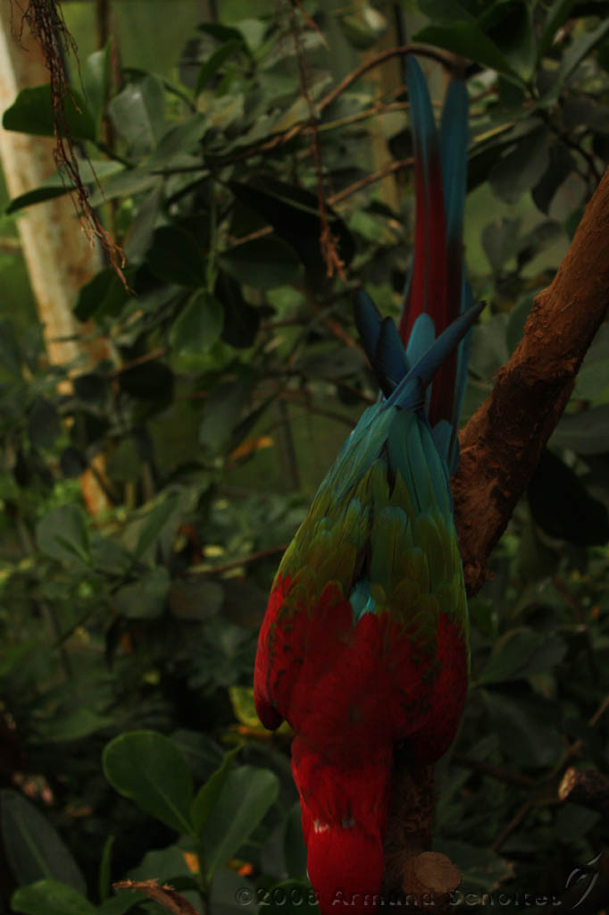 noorderdierenpark_053.jpg
