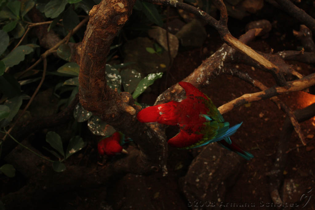 noorderdierenpark_055.jpg