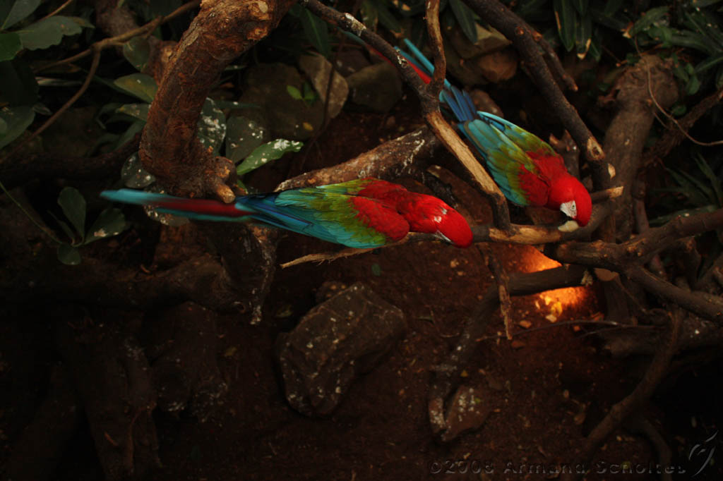 noorderdierenpark_056.jpg