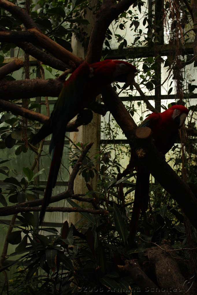 noorderdierenpark_058.jpg